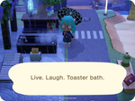 Live Laugh Toaster Bath - Woke Animals Sticker