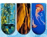 aquarium 3pk. magnetic bookmarks