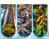 redwood forest magic 3pk. magnetic bookmarks