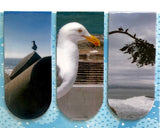 seabirds 3pk. magnetic bookmarks