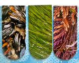 tidepooling 3pk. magnetic bookmarks