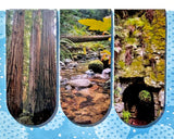 to the limestone kilns! 3pk. magnetic bookmarks