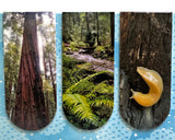 under the redwood canopy 3pk. magnetic bookmarks